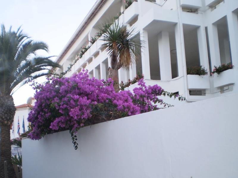 Regency Torviscas And Costa Adeje (Tenerife)