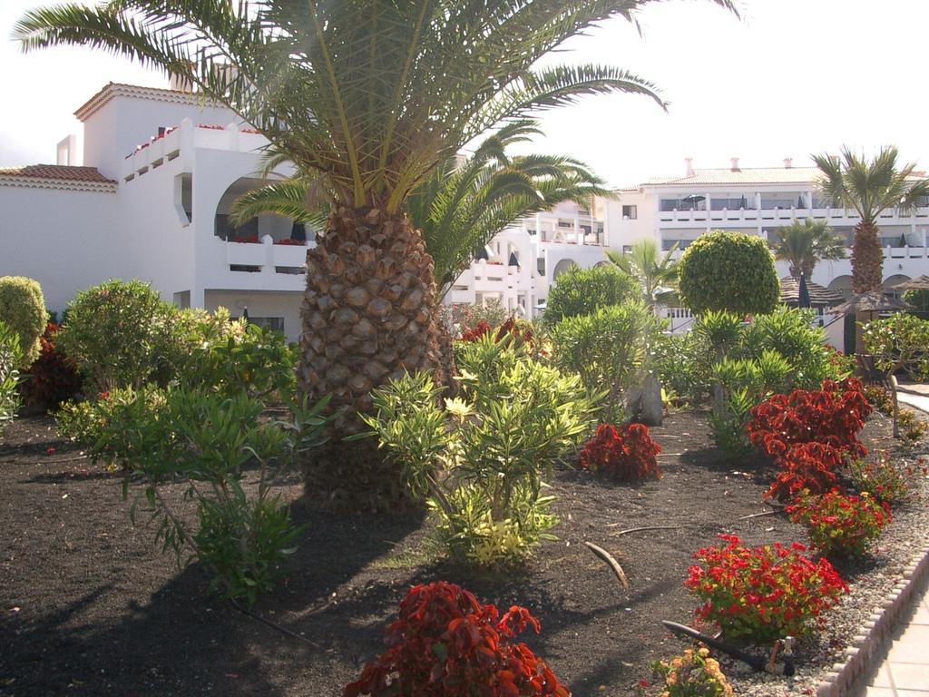 Aparthotel Regency Torviscas And 3*